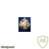 French Navy Officer of Maritime Affairs badge