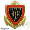 French 1st Dinassaut - Naval Assault Division pocket badge