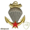 France 3rd bataillon colonial de commandos parachutistes