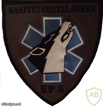 Sanitary Battalion (SANBN), 5th Company patch img21204