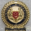 Singapore Army cap badge, from Lt Col and below)