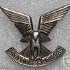 Rhodesia Selous Scouts cap badge, reproduction