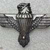 South Africa 44th Parachute Brigade cap badge
