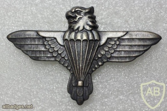 South Africa 44th Parachute Brigade cap badge img21394