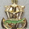 Paraguay Marine Amphibious Commando cap badge