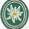 GERMANY Bundeswehr - 1st Mountain Division patch, 1956-2001 img21605