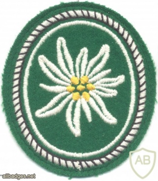 GERMANY Bundeswehr - 1st Mountain Division patch, 1956-2001 img21605