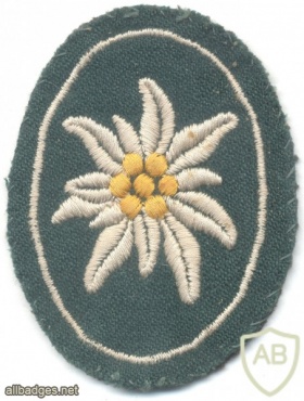 GERMANY Bundeswehr - Mountain Troops sleeve patch #1 img21995