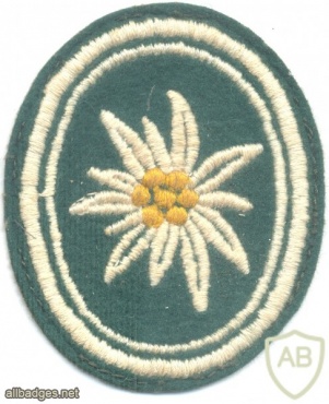 GERMANY Bundeswehr - 22nd Mountain Infantry Brigade ''Oberland', 1957-1993 img21992