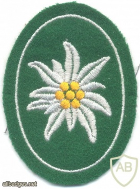 GERMANY Bundeswehr - Mountain Troops sleeve patch #2 img21996