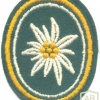 GERMANY Bundeswehr - 24th Mountain Infantry Brigade "Niederbay" patch, 1959-1994 img21994