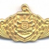 SINGAPORE Navy Submarine qualification breast badge
