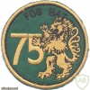 SWITZERLAND Fusilier Infantry Battalion 75 sleeve patch