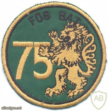 SWITZERLAND Fusilier Infantry Battalion 75 sleeve patch img22057