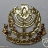 Knesset guard - Golden