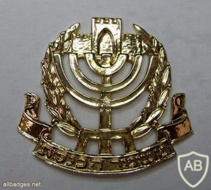 Knesset guard - Golden img22168