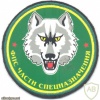 RUSSIAN FEDERATION Federal Border Guard Service Special Forces sleeve patch, 1993-2003