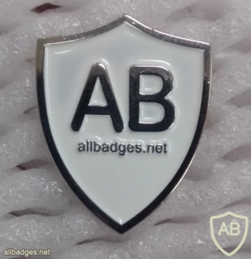 All Badges Site logo pin, silver img22396