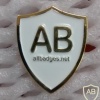 All Badges Site logo pin, gold