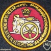 Iran Shah's 92nd Armored Division shoulder patch img22398