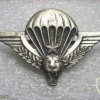 Zaire Parachutist wing, enlisted img22419