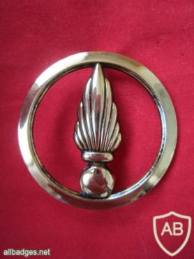 Insigne de béret des cadres spéciales img22431