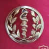 French Defence Health service beret badge