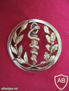 French Defence Health service beret badge img22429