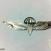 Parachute wings img22477