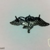 Paratroopers Warrior img22489