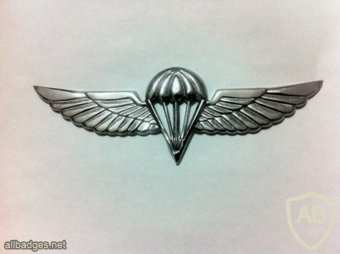 "Крылья" - Нагрудный знак парашютиста img22473
