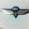 Parachute wings img22475