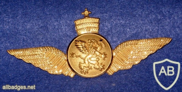 ETHIOPIA Air Force Pilot Wing badge img22603