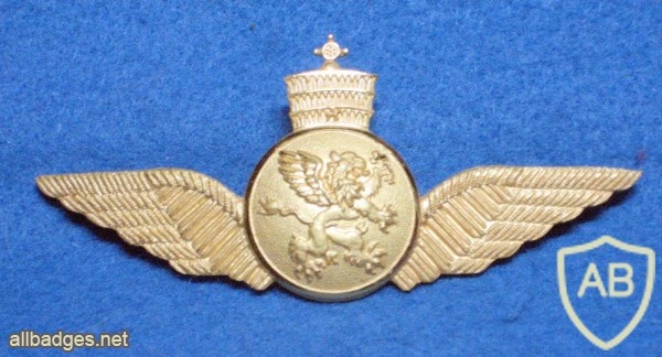 ETHIOPIA Air Force Pilot Wing badge, type 2 img22605
