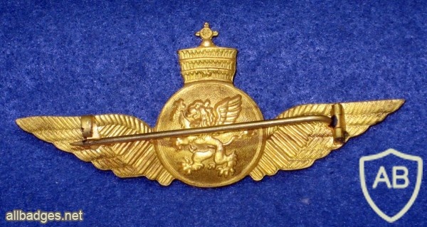 ETHIOPIA Air Force Pilot Wing badge img22604