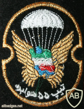 Iran 55th Airborne Brigade patch img22754