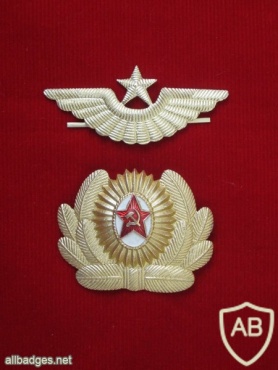 Soviet Air Force hat badge, officer  img22747
