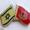 דגל ישראל ודגל צה''ל - סיכת ייצוג