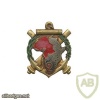 France 2nd Colonial Artillery Regiment pocket badge