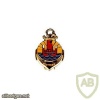 FRANCE Adapted Military Service Regiment (French Polynesia) pocket badge