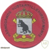 SWEDEN Härnösand Coast Artillery Regiment sleeve patch