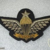 Singapore Senior Parachutist (1978-1990's)(Ceremonial dress, large size) img22978