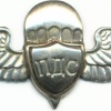 UKRAINE Parachute Assault Service (PDS) badge, silver