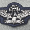 Singapore Basic Diver Parachutist (blue backing 1990's)