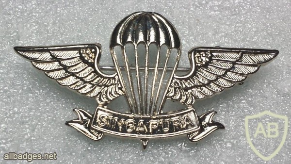 Singapore Basic Parachutist (Thai made) img22937
