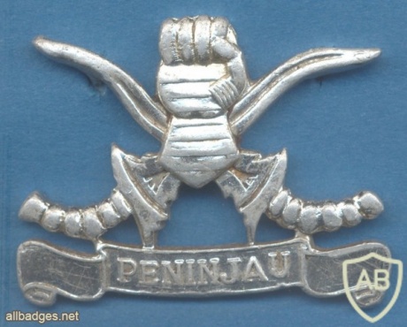MALAYSIA Armoured Reconnaissance cap badge, 1970s img22986