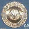 SEYCHELLES Peoples Liberation Army beret cap badge img22989