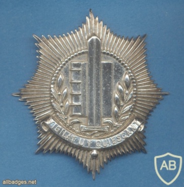 HOLLAND Netherlands Dutch Police cap badge, obsolete img22994
