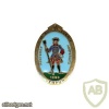 FRANCE 5th Artillery Regiment pocket badge