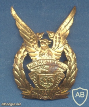 INDONESIA Air Force beret cap badge, old img23000
